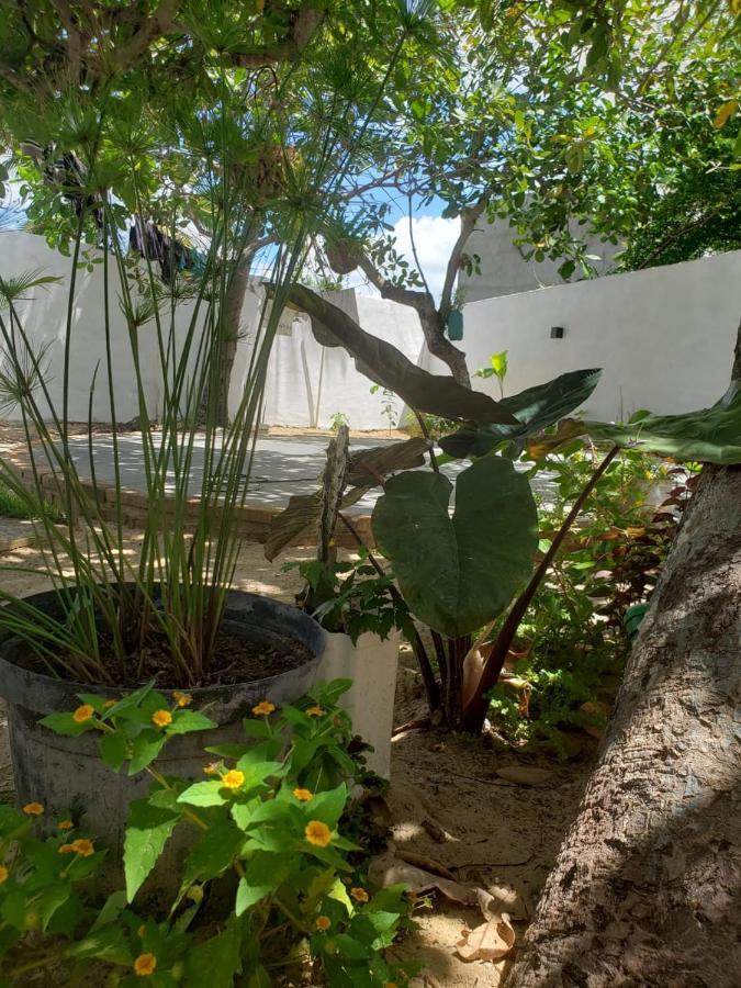 Casa Pipa Bg Hotel Barra Grande  Exterior photo